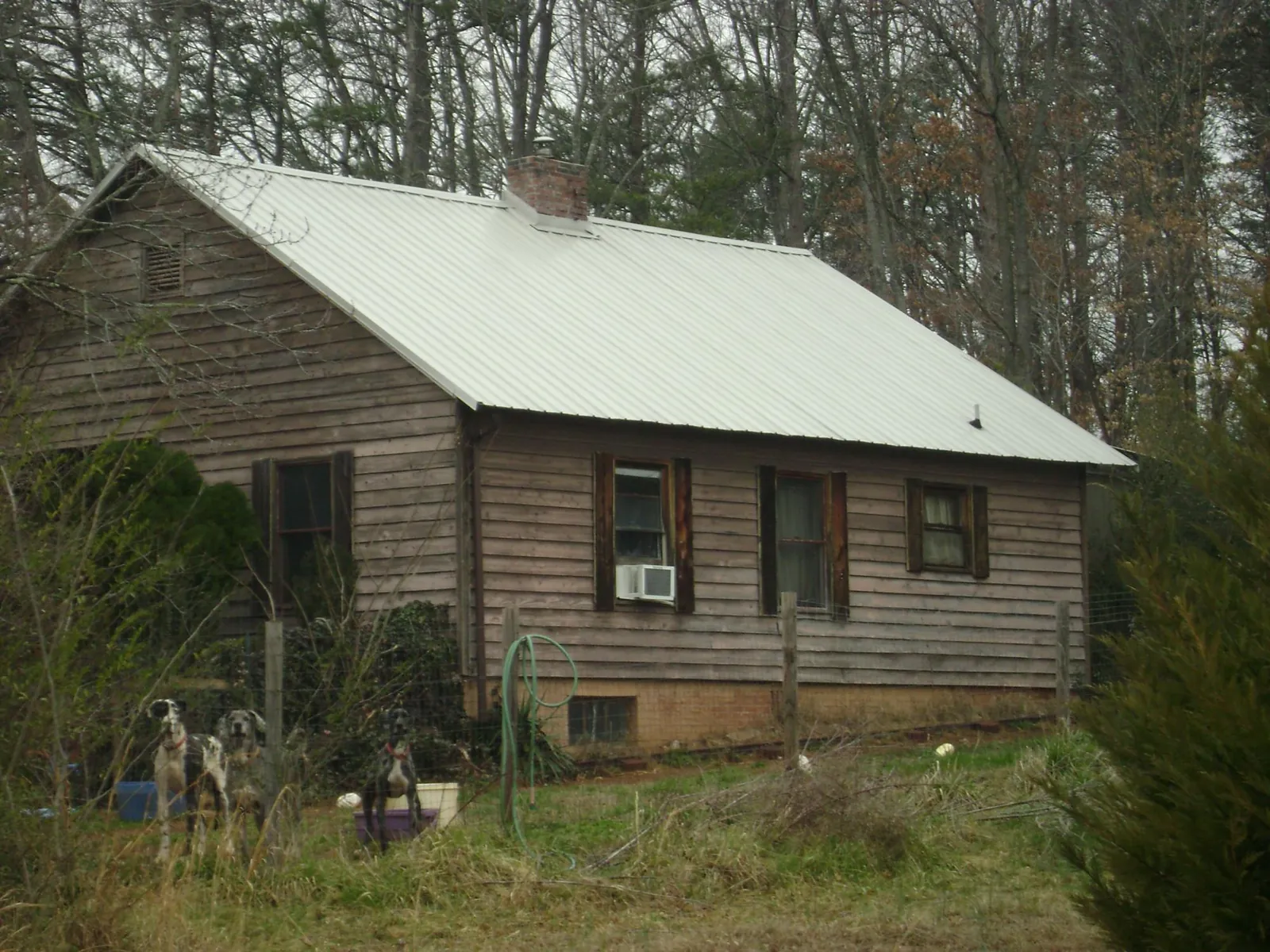 White metal roof on an old wood sided farmhouse, from a Asphalt Shingle Roof Repair job in Osage